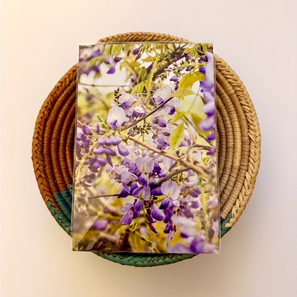 🪻🍃 4x6 Stunning Purple Wisteria Print